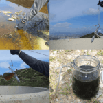 discarica-castelluccio-battipaglia-movimento-5-stelle