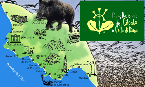 Non abbandoniamo il Parco Nazionale del Cilento! Parco Nazionale Del Cilento