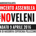 top-banner-assemblea