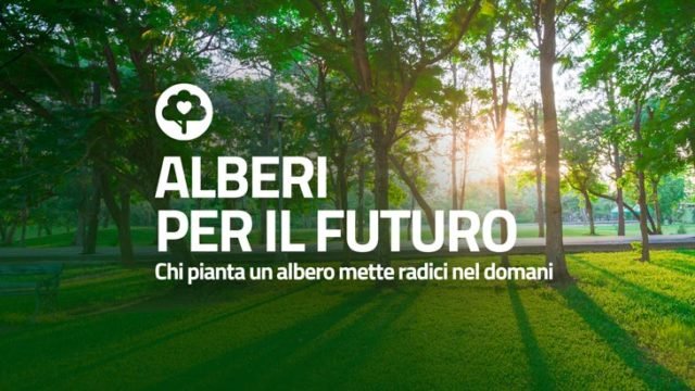 alberiperilfuturo salerno angelo tofalo pellezzano