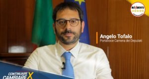 Elezioni europee 2019: continuare per cambiare con il MoVimento 5 Stelle elezioni europee 2019 movimento 5 stelle angelo tofalo