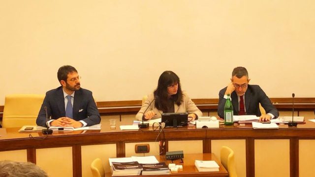 Il Sottosegretario di Stato alla Difesa Angelo Tofalo in 4^ Commissione Difesa Senato