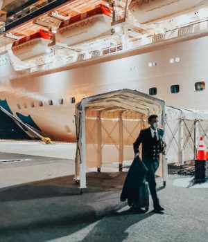 Sbarco Diamond Pincess ultimo a scendere il comandante italiano Gennaro Arma Sbarco Diamond Pincess ultimo a scendere il comandante italiano Gennaro Arma