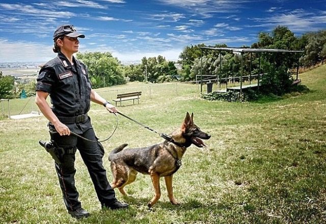 Adozioni-e-assistenza-veterinaria-per-i-cani-militari-e-novità-dalla-Difesa-1 Adozioni-e-assistenza-veterinaria-per-i-cani-militari-e-novità-dalla-Difesa