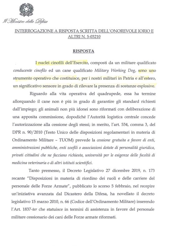 Assistenza veterinaria per i cani militari e adozioni novità dalla Difesa