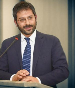 Angelo Tofalo, Sottosegretario di Stato al Ministero della Difesa