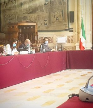 Angelo Tofalo in Commissione Difesa