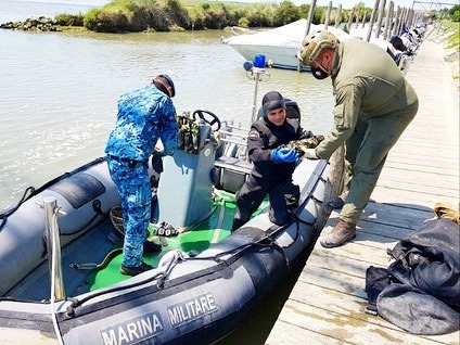 Artificieri Esercito e Marina protagonisti di un’importante attività di bonifica di ordigni bellici (8) Artificieri Esercito e Marina protagonisti di un’importante attività di bonifica di ordigni bellici (8)