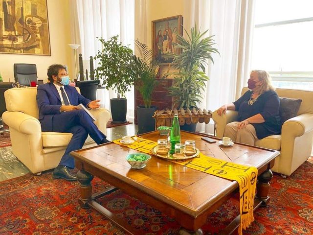 Angelo Tofalo Emanuela Del Re