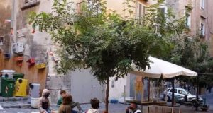 Campania, scuole chiuse? Il maestro Tonino insegna per le strade Campania, scuole chiuse Il maestro Tonino insegna per le strade (3)